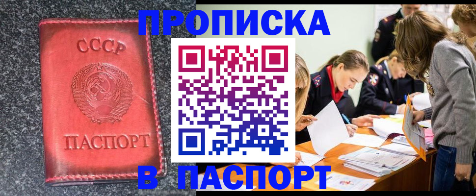 прописка для школы в Протвино
